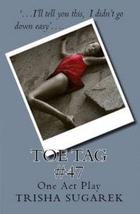 women's monologues, short play, small cast, one act play, murder, adult theme,
