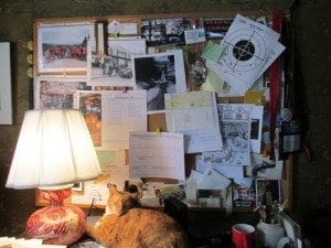Sheila's desk with cat
