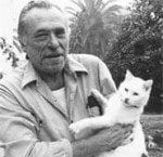 cat lovers, cats, Charles Bukowski